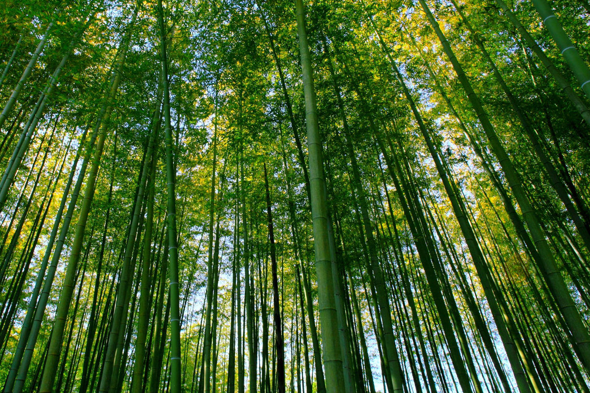 Sustainability at SW19London.com