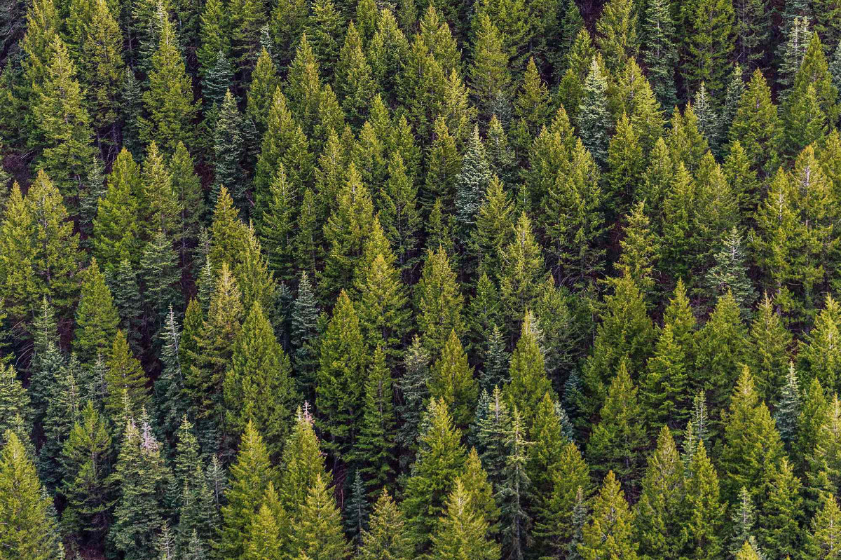 Know your fabrics - Man-Made