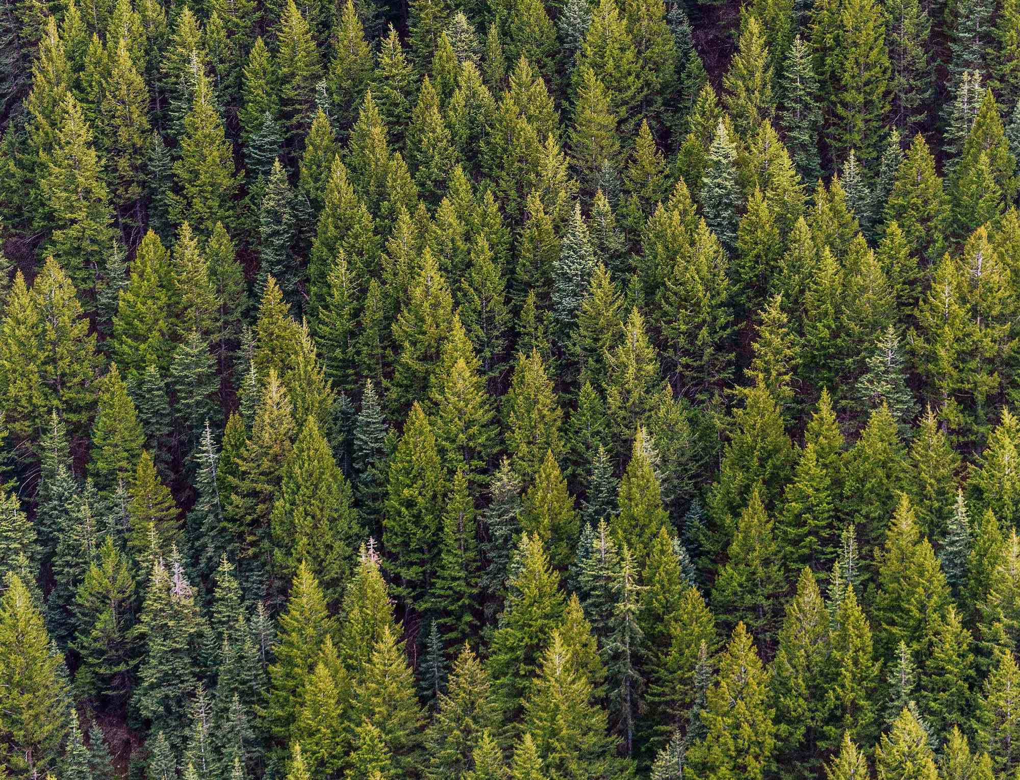 Know your fabrics - Man-Made