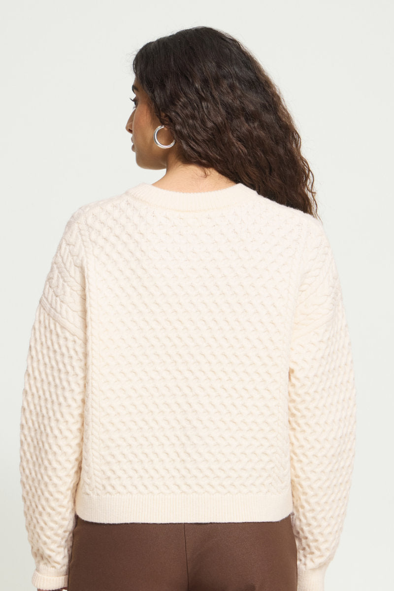 Damina Cardi, birch