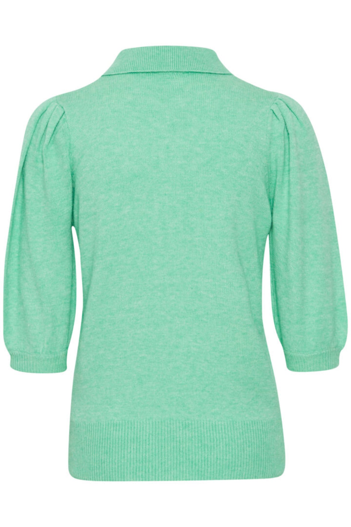 Nonina jumper, Ming green